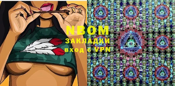 МДПВ Нея