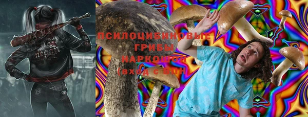 МДПВ Нея