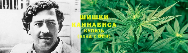 Каннабис OG Kush  Алзамай 